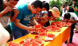 吃瓜爆料大赛聚集地,网络聚集地的风云变幻